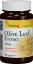 Kép Oliva levél kivonat 500mg 60 db